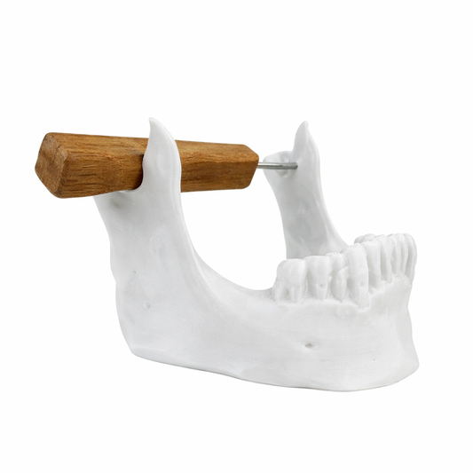 Skull Jaw Dab Tool Holder – White (Table Stand)