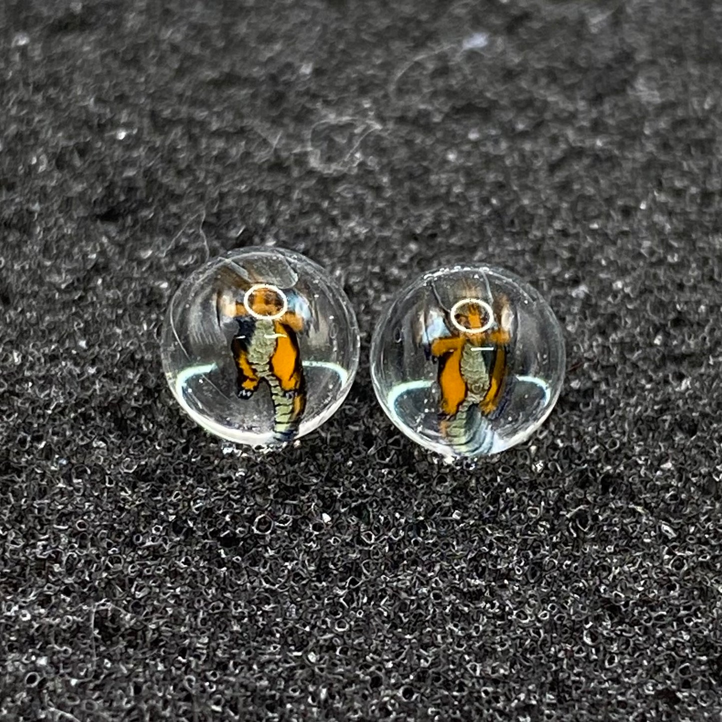 Dragonite Pokémon Millie Terp Pearls by Steven H Glass – 2pc