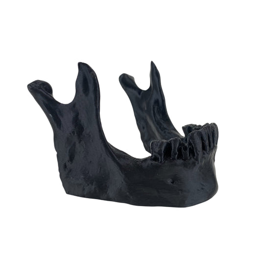 Skull Jaw Dab Tool Holder – Black (Table Stand)