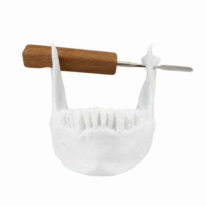 Skull Jaw Dab Tool Holder + Premium Wood Dab Tool Bundle