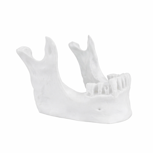 Skull Jaw Dab Tool Holder – White (Table Stand)